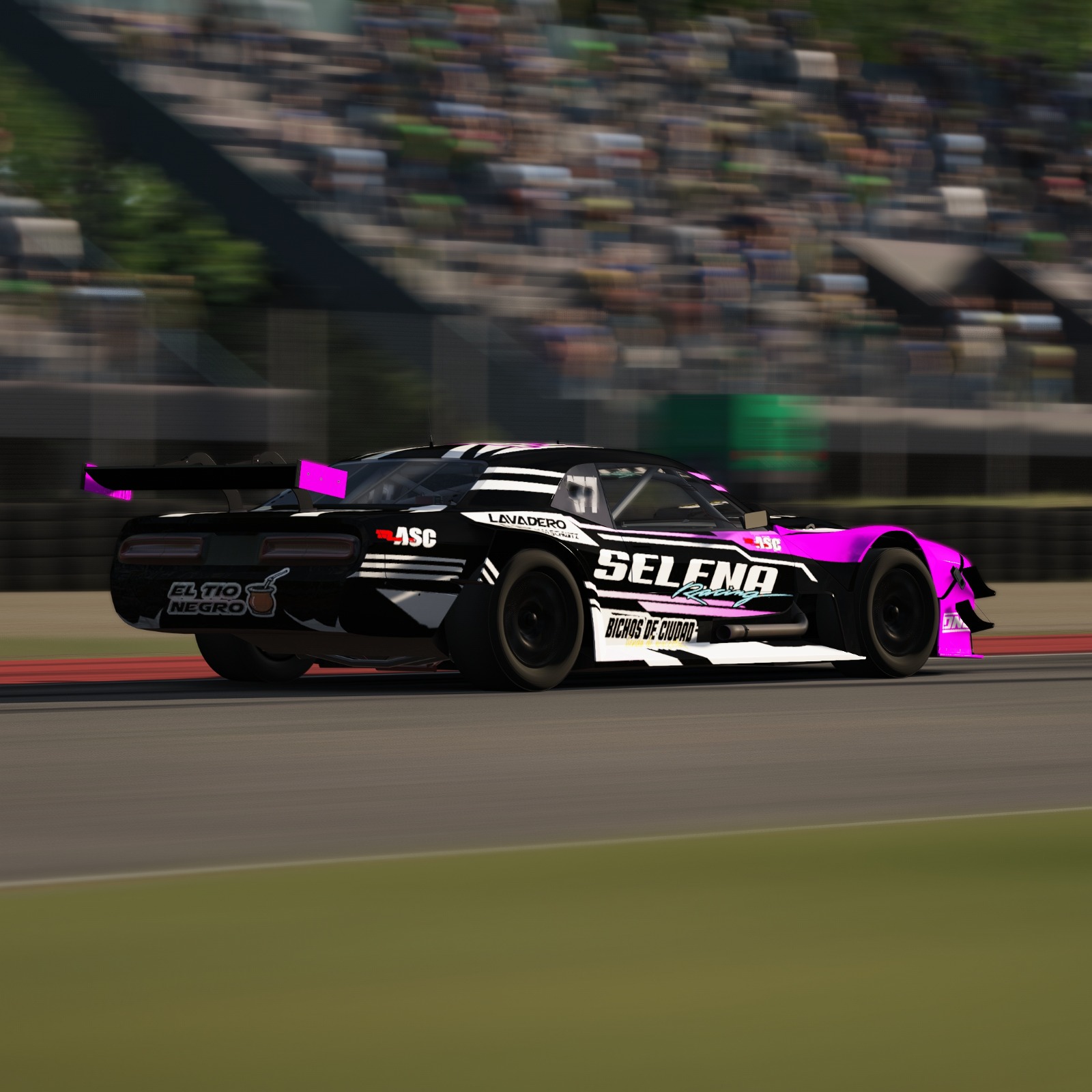 Servidor de simracing administrado